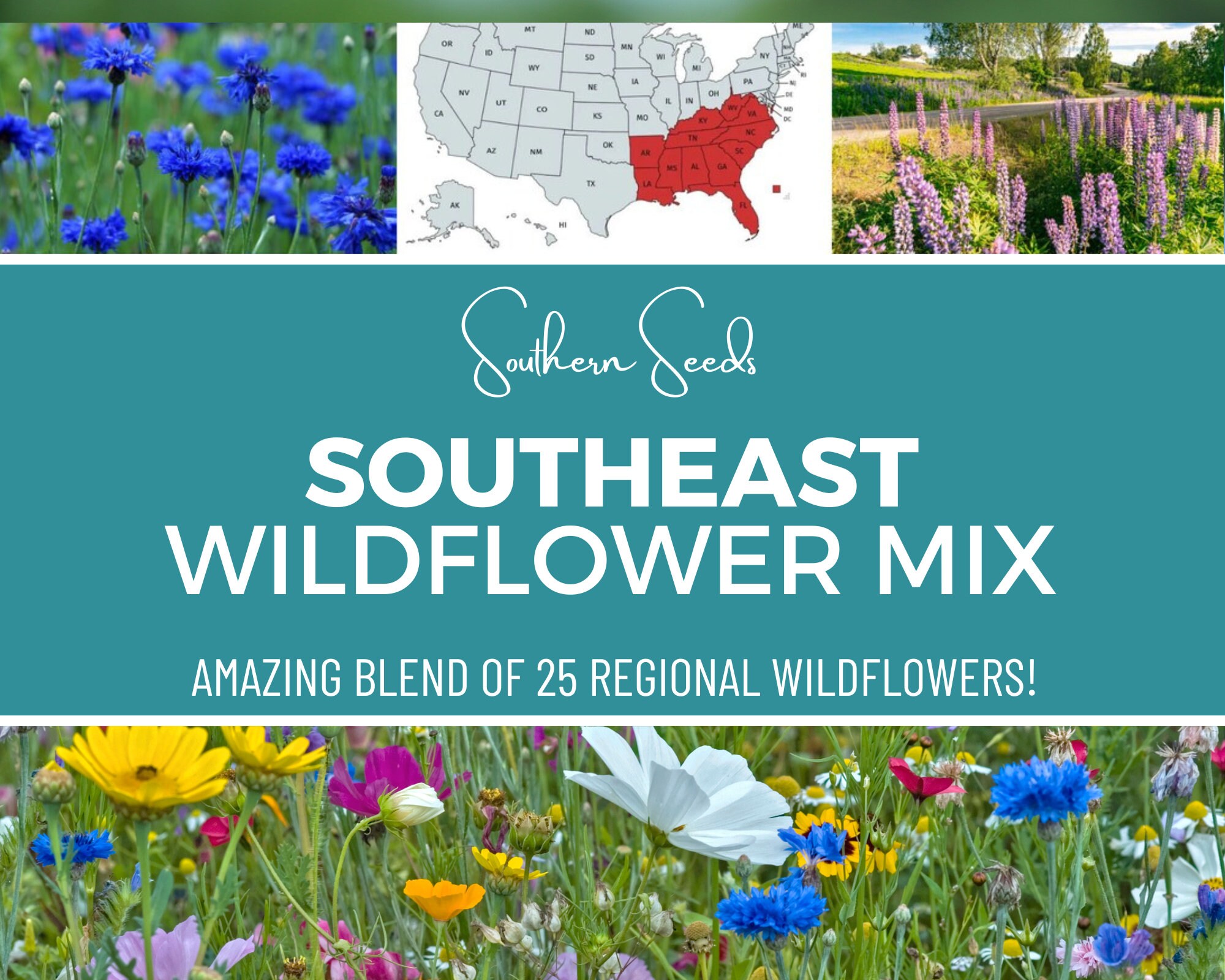 South Carolina Blend, Wildflower Seed