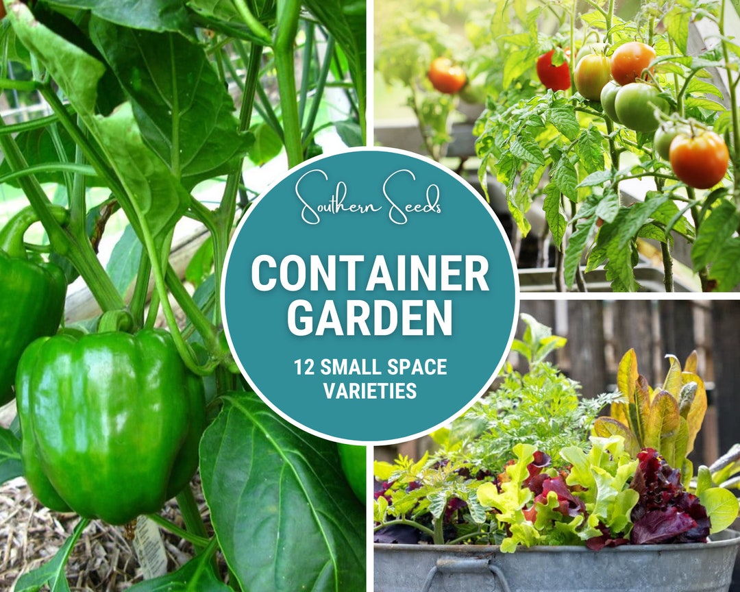 Container Garden Seed Collection 12 Essential Varieties Etsy