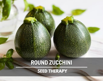 Round Zucchini Seeds – Heirloom Summer Squash, Open Pollinated, Non‑GMO, Easy to Grow, Garden Favorite | 25 Seeds
