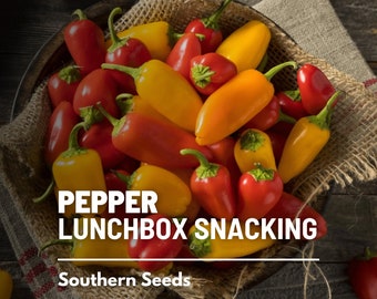 Pepper, Lunchbox Sweet Snacking - 25 Seeds  - Heirloom - Non-GMO - Easy To Grow (Capsicum annuum)