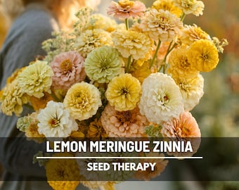 Lemon Meringue Zinnia Seeds – Heirloom Flower, Large Double Blooms, Polar Bear, Canary Bird & Envy Mix, Easy to Grow | 100 Seeds