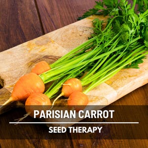 Parisian Carrot Seeds – Heirloom Vegetable, Non-GMO Round Carrot, Open Pollinated, Ideal for Container Garden | 250 Seeds