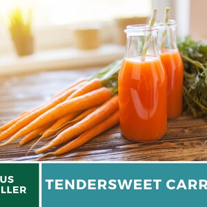 May include: Two glass bottles filled with orange carrot juice and topped with green and white striped straws. A bunch of fresh orange carrots are on a wooden table next to the bottles. The text "TENDERSWEET CARROT" is on a teal background.