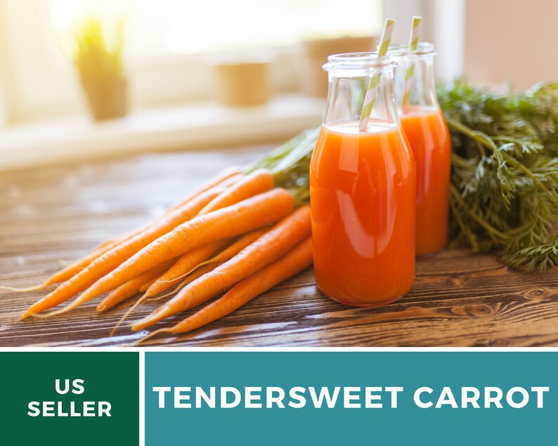 May include: Two glass bottles filled with orange carrot juice and topped with green and white striped straws. A bunch of fresh orange carrots are on a wooden table next to the bottles. The text "TENDERSWEET CARROT" is on a teal background.