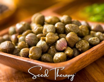 Caper Bush Seeds – Heirloom Medicinal Herb, Used in Herbal Traditions and Mediterranean Cuisine, Non-GMO, Rare Delicacy | 10 Seeds