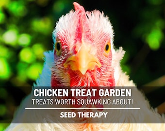 Chicken Treats Seed Collection – 10 Amazing Heirloom Seeds, Open Pollinated & Forage Blend, Grow Chicken Food