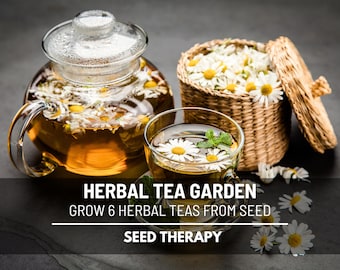 Herbal Tea Seed Collection – 6 Essential Herbs, Grow Your Own Soothing & Flavorful Tea Garden, Heirloom Blend