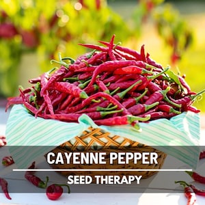 Cayenne Pepper Seeds – Long Slim, Heirloom Hot Pepper for Drying & Powder, Spicy, Non-GMO Vegetable | 30 Seeds