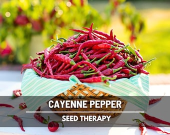 Cayenne Pepper Seeds – Heirloom, Long Slim Variety, Non-GMO (30 Seeds)