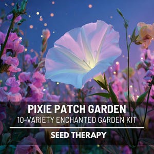 Pixie Patch Seed Collection – 10 Enchanted Varieties, Fairy Garden Mix, Children’s Gardening Set, Magical Gift Kit