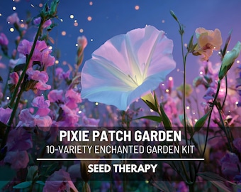 Pixie Patch Seed Collection – 10 Enchanted Varieties, Fairy Garden Mix, Children’s Gardening Set, Magical Gift Kit