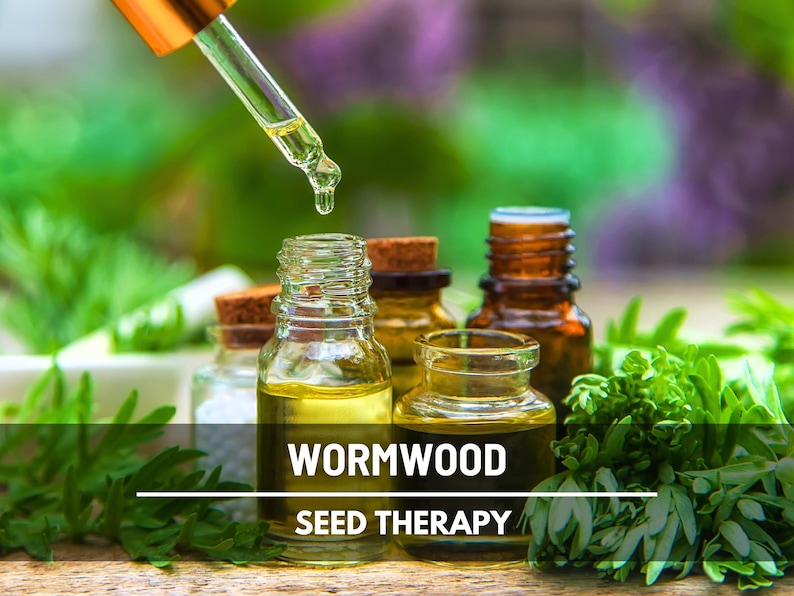 Wormwood Seeds – Heirloom Herb, Silver-Gray Foliage, Strong Aromatic Scent, Medicinal and Culinary Uses, Easy to Grow | 200 Seeds image 2