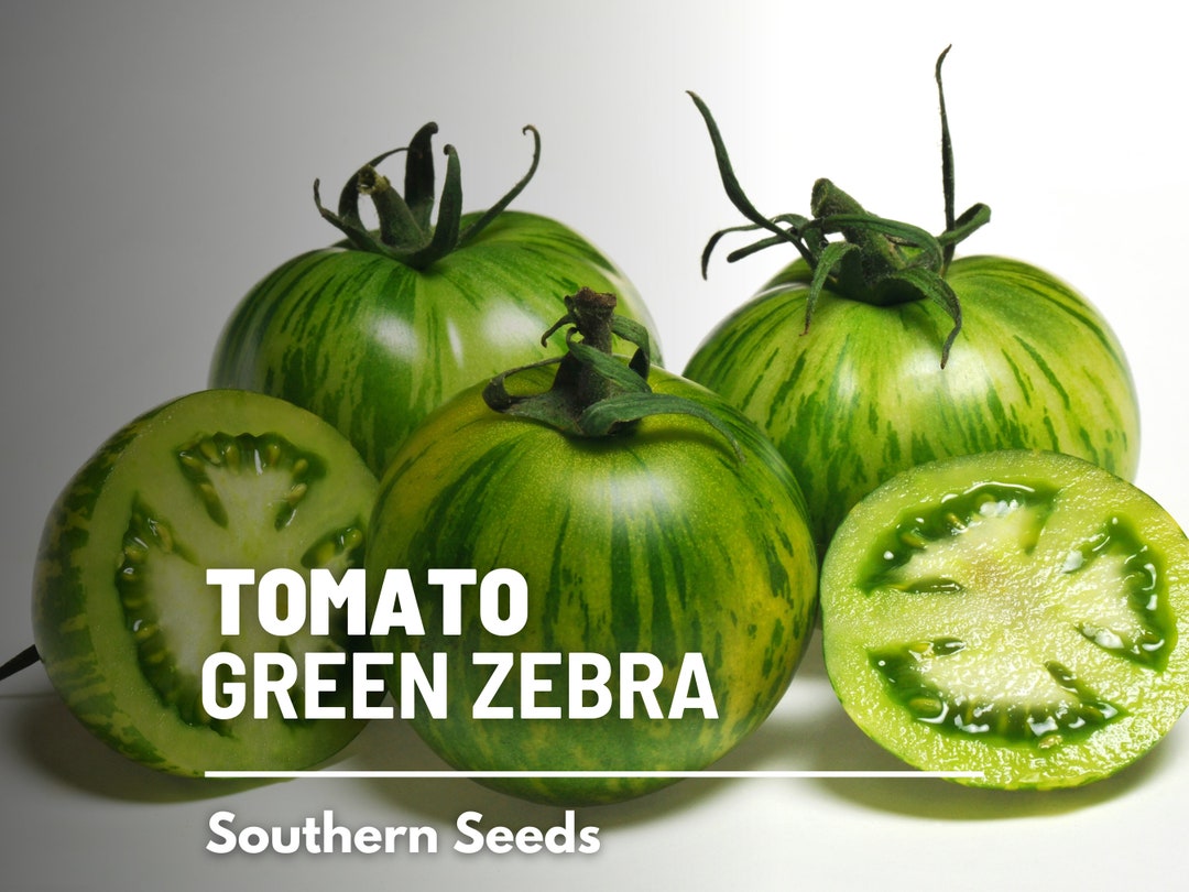 Tomato, Green Zebra 50 Seeds Heirloom Vegetable, Indeterminate, Striped