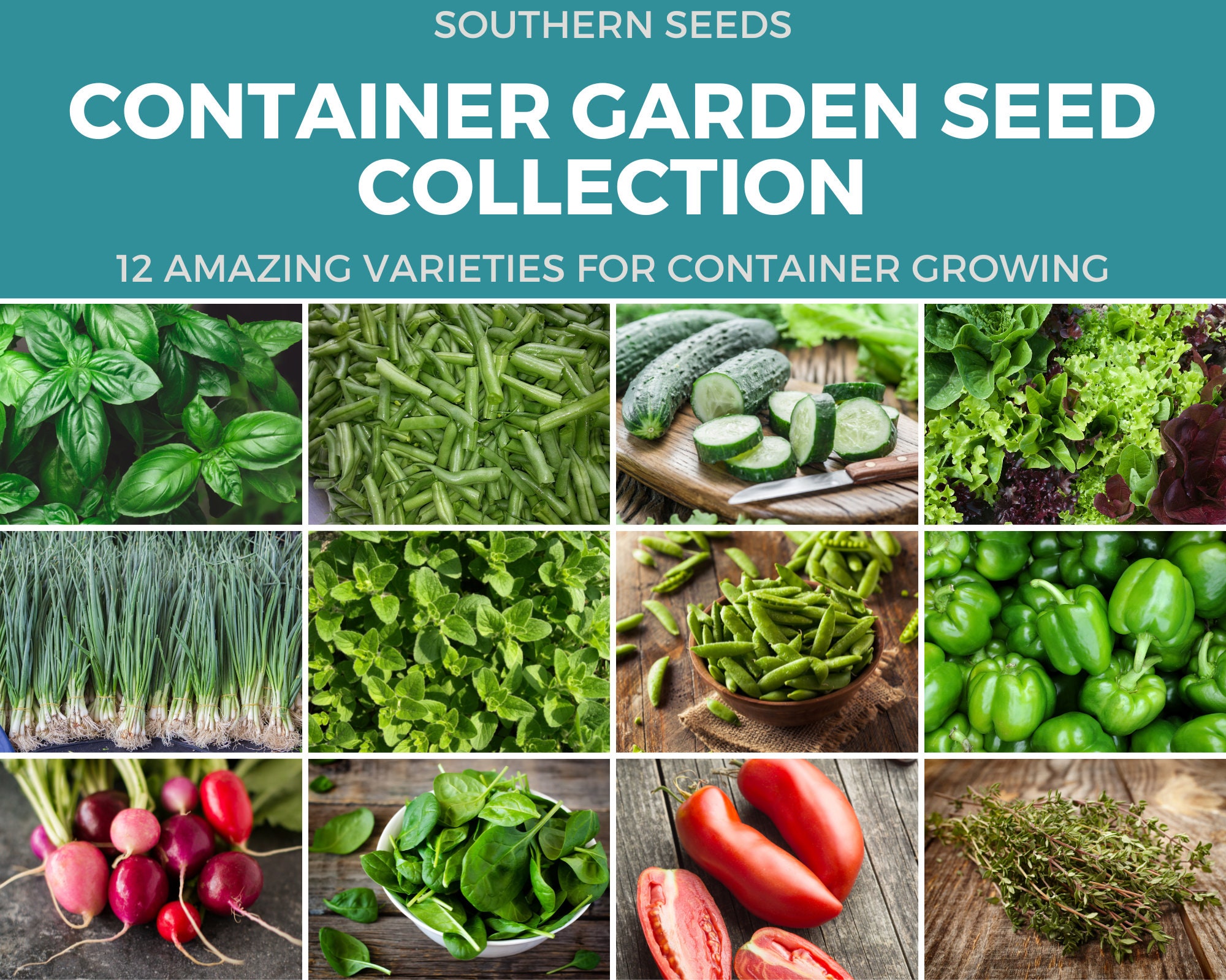 Container Garden Seed Collection 12 Essential Varieties Etsy