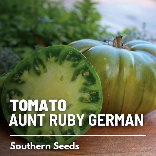 Tomato, Aunt Ruby's German Green - 50 Seeds - Heirloom Vegetable, Indeterminate, Large (Lycopersicon esculentum)