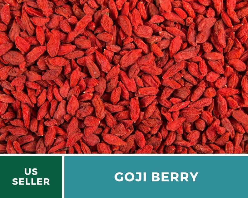 May include: Close-up of dried goji berries, showcasing their vibrant red color and elongated shape. The image is filled with the berries, creating a textured, natural pattern. The text "GOJI BERRY" is displayed in a white font on a teal background.