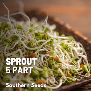 Sprout, 5-Part Mix seeds - Heirloom Sprouting Seeds - Nutrient-Dense and Easy to Grow - Ideal for Sprouting at Home