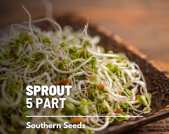 Sprout, 5-Part Mix seeds - Heirloom Sprouting Seeds - Nutrient-Dense and Easy to Grow - Ideal for Sprouting at Home