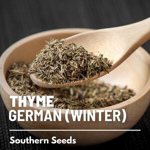 Peut inclure: Une cuill&egrave;re en bois remplie de thym s&eacute;ch&eacute;, &eacute;tiquet&eacute;e "THYME GERMAN (WINTER)" et "Southern Seeds".