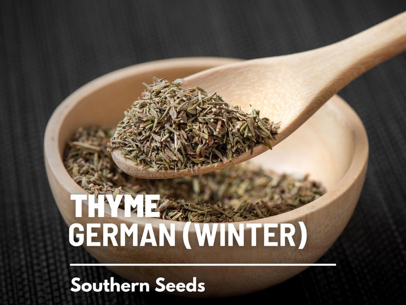 Peut inclure: Une cuill&egrave;re en bois remplie de thym s&eacute;ch&eacute;, &eacute;tiquet&eacute;e "THYME GERMAN (WINTER)" et "Southern Seeds".