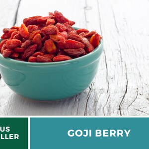 May include: A turquoise bowl filled with dried goji berries, set against a weathered, white wooden surface. The berries are a deep red color. The image also includes the text "GOJI BERRY" and "US SELLER".