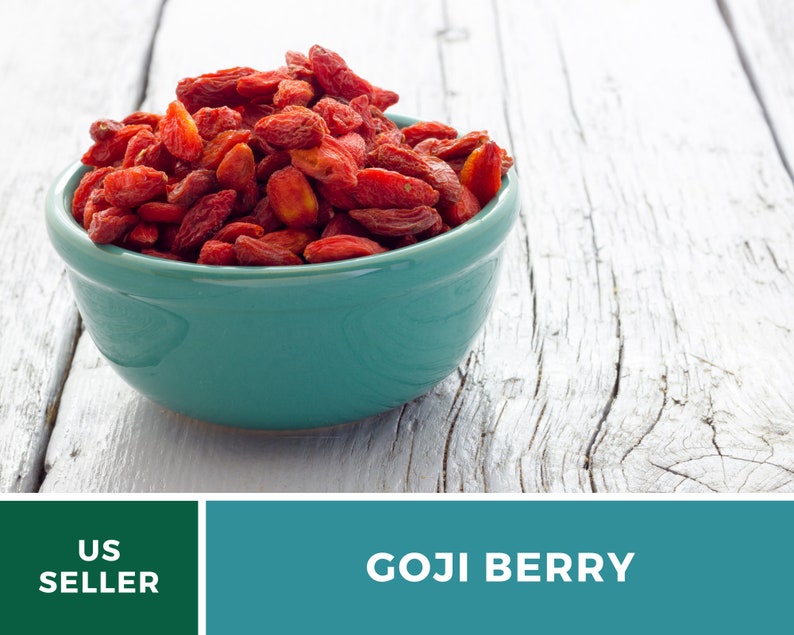 May include: A turquoise bowl filled with dried goji berries, set against a weathered, white wooden surface. The berries are a deep red color. The image also includes the text "GOJI BERRY" and "US SELLER".