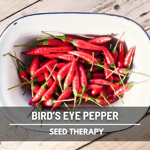Bird&#39;s Eye Chili Pepper Seeds – Heirloom Thai Chili, Spicy Hot Pepper, Open Pollinated, Prolific Plant | 30 Seeds
