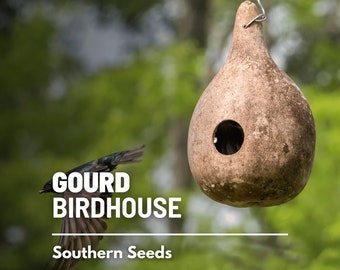 Gourd, Birdhouse Bottle - 15 Seeds - Heirloom Vegetable - Open Pollinated - Non-GMO (Lagenaria siceraria)