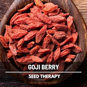 Goji Berry Seeds – Heirloom Fruit, Wolfberry, Nutrient-Rich & Used in Traditional Medicine, Easy to Grow | 50 Seeds
