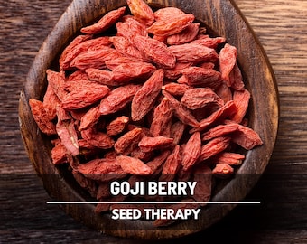 Goji Berry Seeds – Heirloom Fruit, Wolfberry, Nutrient-Rich & Used in Traditional Medicine, Easy to Grow | 50 Seeds