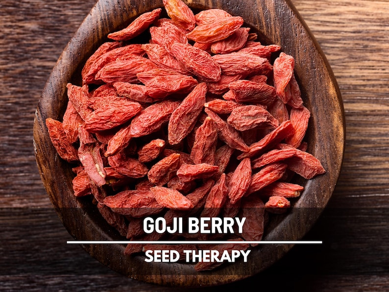 May include: A wooden spoon filled with dried goji berries, a vibrant red color. The text "GOJI BERRY" and "SEED THERAPY" is displayed in white text on a black background.
