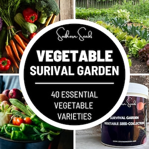 Survival Garden, Vegetable Collection - 40 Seed Varieties - Heirloom, Non-GMO, Emergency Crop Garden, Garden Gift, Free Shipping