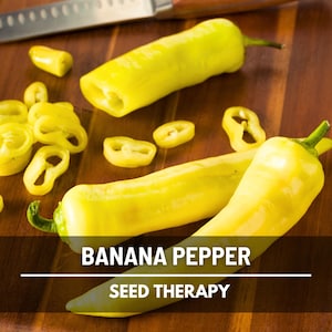 Sweet Banana Pepper Seeds – Heirloom Vegetable, Non-GMO, Award-Winning, Sweet Mild Peppers, Productive Plants | 25 Seeds