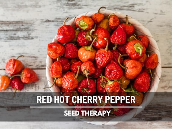 Red Hot Cherry Pepper Seeds – Heirloom Vegetable, Small Fiery Red Peppers, Open Pollinated, Non-GMO, Productive Garden Favorite | 25 Seeds