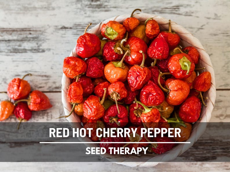 Red Hot Cherry Pepper Seeds, Medium Heat Pepper for Pickling and Stuffing, Heirloom, 25 Seeds imagem 1