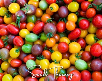 May include: A collection of fresh cherry tomatoes in various colors including red, yellow, orange, green, and deep purple. Many tomatoes feature small green stems attached. The white cursive text Seed Therapy is overlaid on the bottom center.