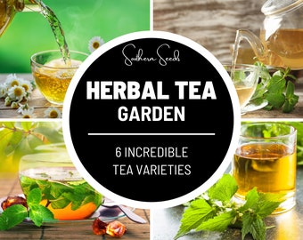 Herbal Tea Seed Collection - 6 Essential Herbs - Cultivate a Relaxing and Flavorful Tea Garden