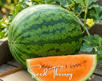 May include: A whole round watermelon with a dark and light green striped rind positioned behind a single wedge of watermelon featuring vibrant orange flesh and small brown seeds, with the white cursive text Seed Therapy overlaid.