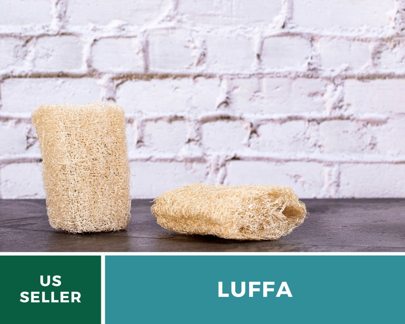 Puede incluir: Dos esponjas naturales de luffa sobre una superficie de madera oscura. Las luffas son de color marr&oacute;n claro y tienen una textura rugosa. El fondo es una pared de ladrillo blanco.
