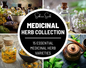 Medicinal Herb Seed Collection - 15 Essential Heirloom Herbs - Grow Your Own Healing Garden - Natural Remedies and Wellness at Home