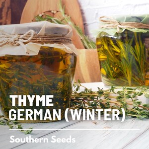 Peut inclure: Deux bocaux en verre remplis d'huile et de thym frais. Les bocaux sont &eacute;tiquet&eacute;s "THYME GERMAN (WINTER)" et "Southern Seeds".