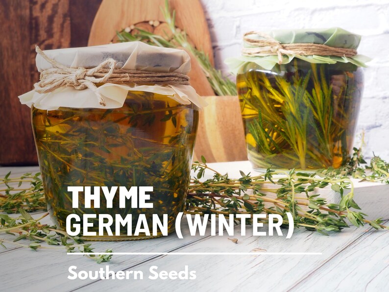 Peut inclure: Deux bocaux en verre remplis d'huile et de thym frais. Les bocaux sont &eacute;tiquet&eacute;s "THYME GERMAN (WINTER)" et "Southern Seeds".