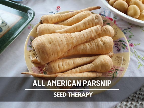 All American Parsnip Seeds, Sweet Heirloom Root Vegetable (200 Seeds)