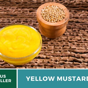 May include: A small bowl of bright yellow mustard next to a bowl of yellow mustard seeds. The bowls are on a woven brown background.