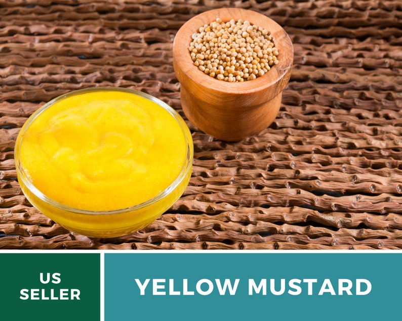 May include: A small bowl of bright yellow mustard next to a bowl of yellow mustard seeds. The bowls are on a woven brown background.