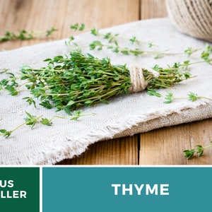 May include: A bunch of fresh thyme tied with twine, resting on a white linen cloth. The thyme is green and the twine is brown. The cloth is on a wooden surface.