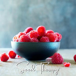 May include: A matte black bowl filled with a heap of fresh, vibrant red raspberries. Several loose raspberries are scattered around the base of the bowl. The text "Seed Therapy" is written in a white cursive script at the bottom of the image.