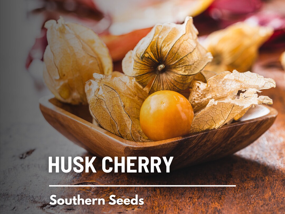 Tomatillo, Husk Cherry 20 Seeds Heirloom Vegetable, Ground Cherry