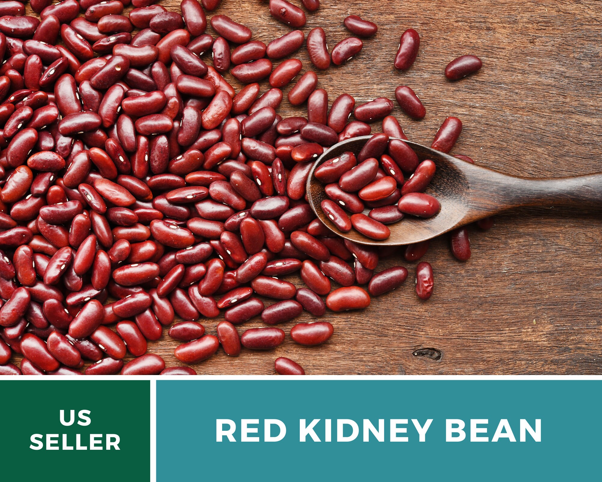 USA SELLER Dark Red Kidney Bush Beans 25 seeds HEIRLOOM