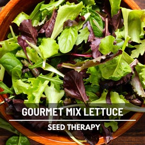 May include: A wooden bowl filled with a gourmet mix of fresh lettuce. The salad features a variety of green and red-leaf lettuce. The text on the image reads "GOURMET MIX LETTUCE" and "SEED THERAPY".